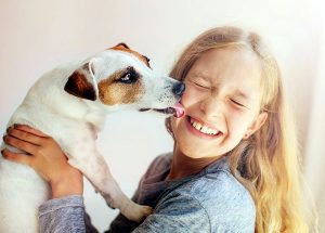 Como acabar o mau hálito do meu cachorro Lar Doce Lar