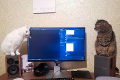 Home Office com Pet