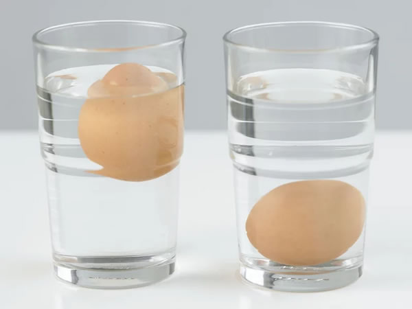 como saber se um ovo ainda está próprio para consumo