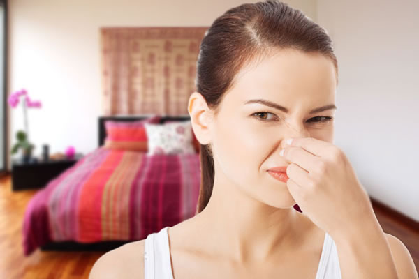 Métodos caseiros para se livrar de odores persistentes