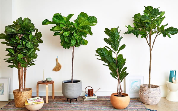 32 ideias de ambientes decorados com plantas artificiais