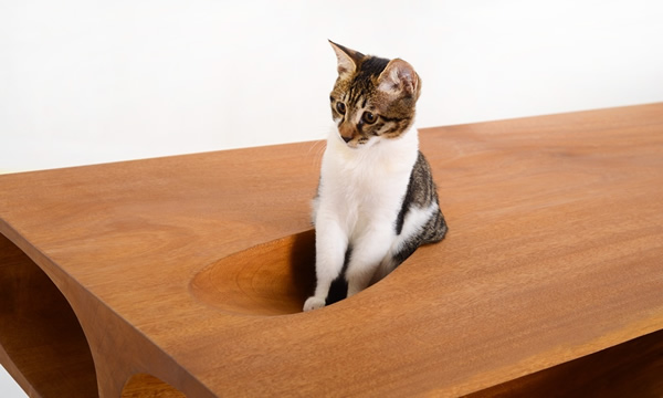 mesa para gatos