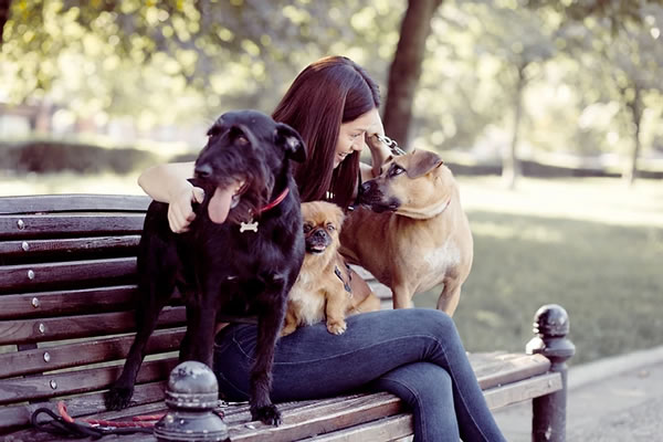 Cachorros em um parque - vermífugo para cachorro