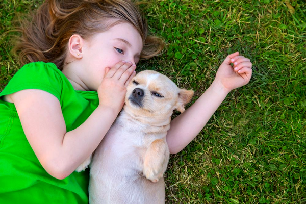 Será que os cachorros já nascem prontos para se comunicar com as pessoas?