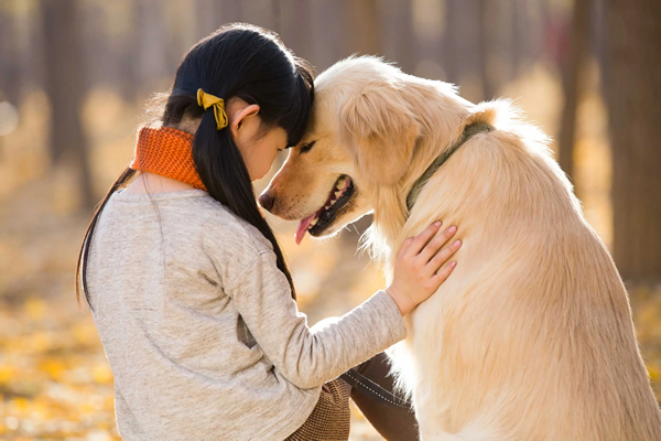 cães demonstram amor - menina com cão