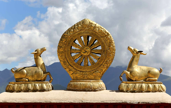 Roda do Dharma Significado Veados