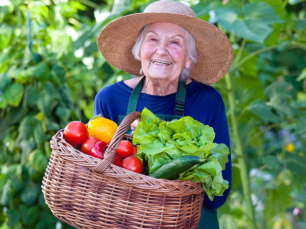 Jardinagem como terapia - idosa colhendo