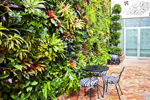 Jardinagem na parede - plantas tropicais