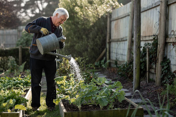 Jardim para idosos - molhando a horta